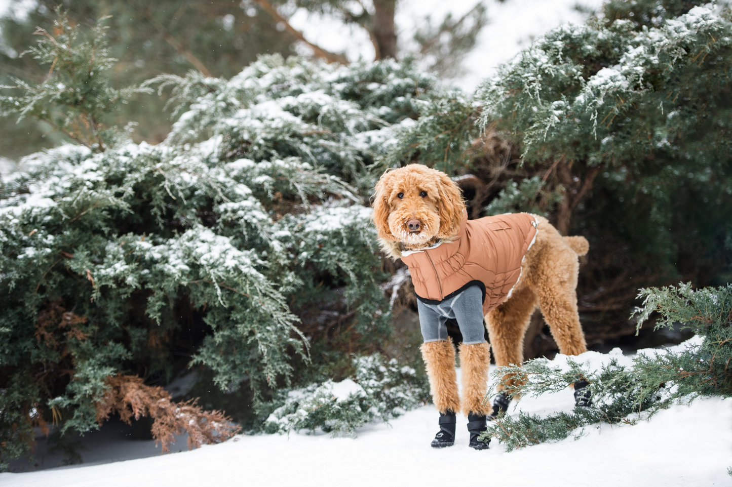 Urban Parka - Caramel