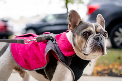 2-in-1 Thermal Dog Fleece Jacket with Integrated Harness - Fuschia