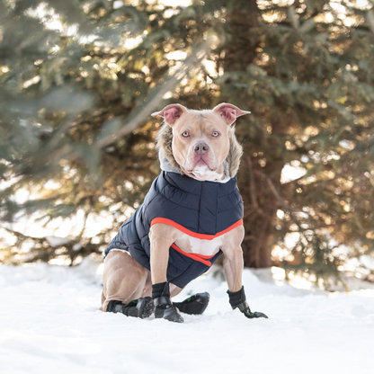 Winter Sailor Parka - Navy