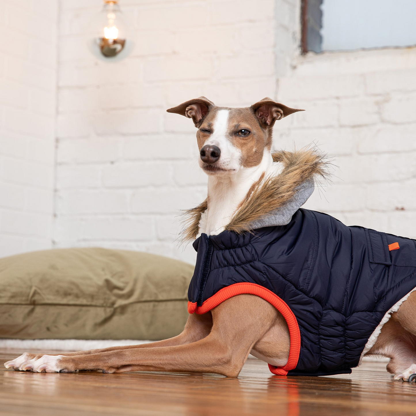 Winter Sailor Parka - Navy