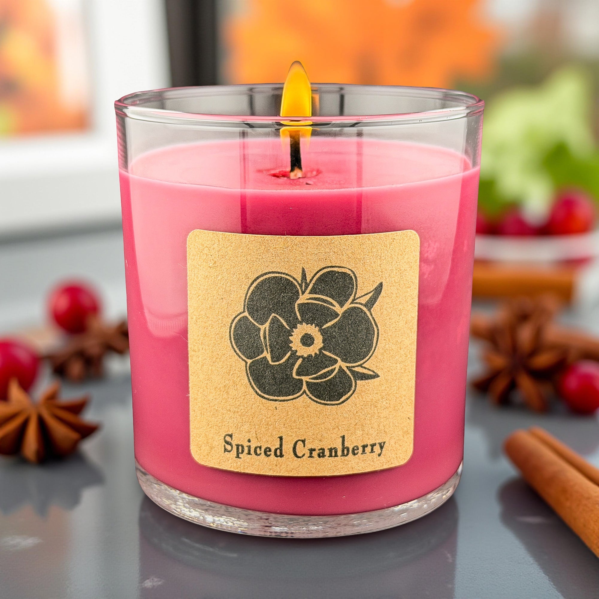Spiced Cranberry 10oz Soy Candle