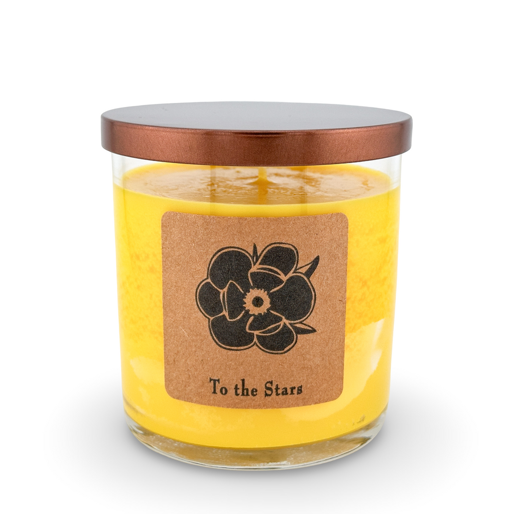To the Stars 10oz Soy Candle