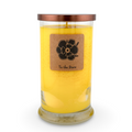 To the Stars 18oz Soy Candle