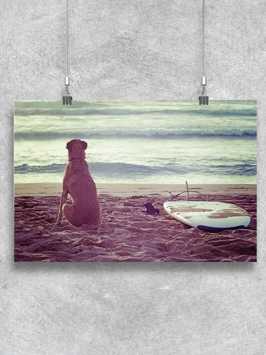 A Dog And A Surfboard  Poster -Image by Shutterstock