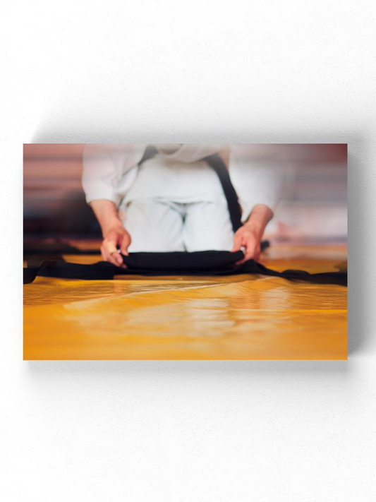 Aikido Wrapped Canvas -Image by Shutterstock