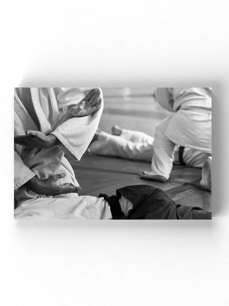 Aikido Practice Wrapped Canvas -Image by Shutterstock