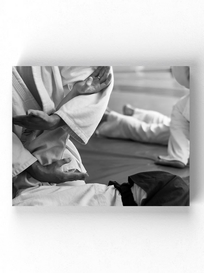 Aikido Practice Wrapped Canvas -Image by Shutterstock