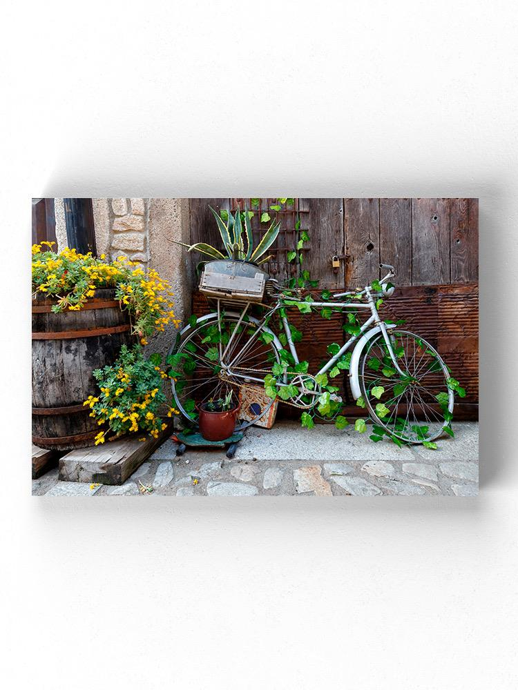 Bicycle With Growing Plants Wrapped Canvas -Image by Shutterstock