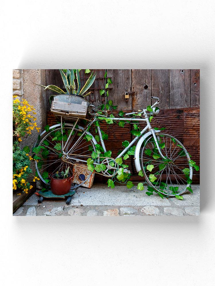 Bicycle With Growing Plants Wrapped Canvas -Image by Shutterstock