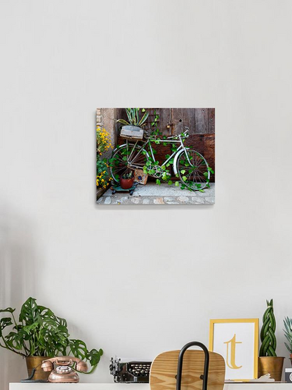 Bicycle With Growing Plants Wrapped Canvas -Image by Shutterstock