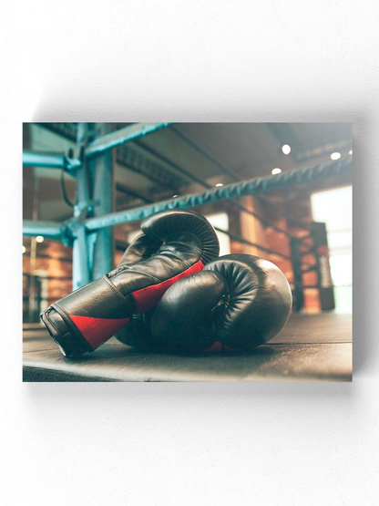 Black Boxing Gloves Wrapped Canvas -Image by Shutterstock