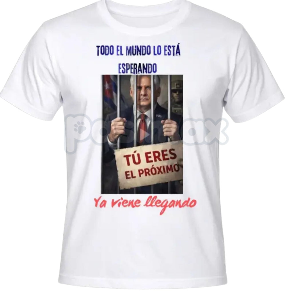Diaz-Canel El Próximo T-Shirt - Cuban Politics Graphic Streetwear, Miguel Díaz-Canel Political Statement Shirt, Premium Heavyweight Shortsleeve Crewneck, Casual Activist Apparel, Modern Cuba History Graphic Top