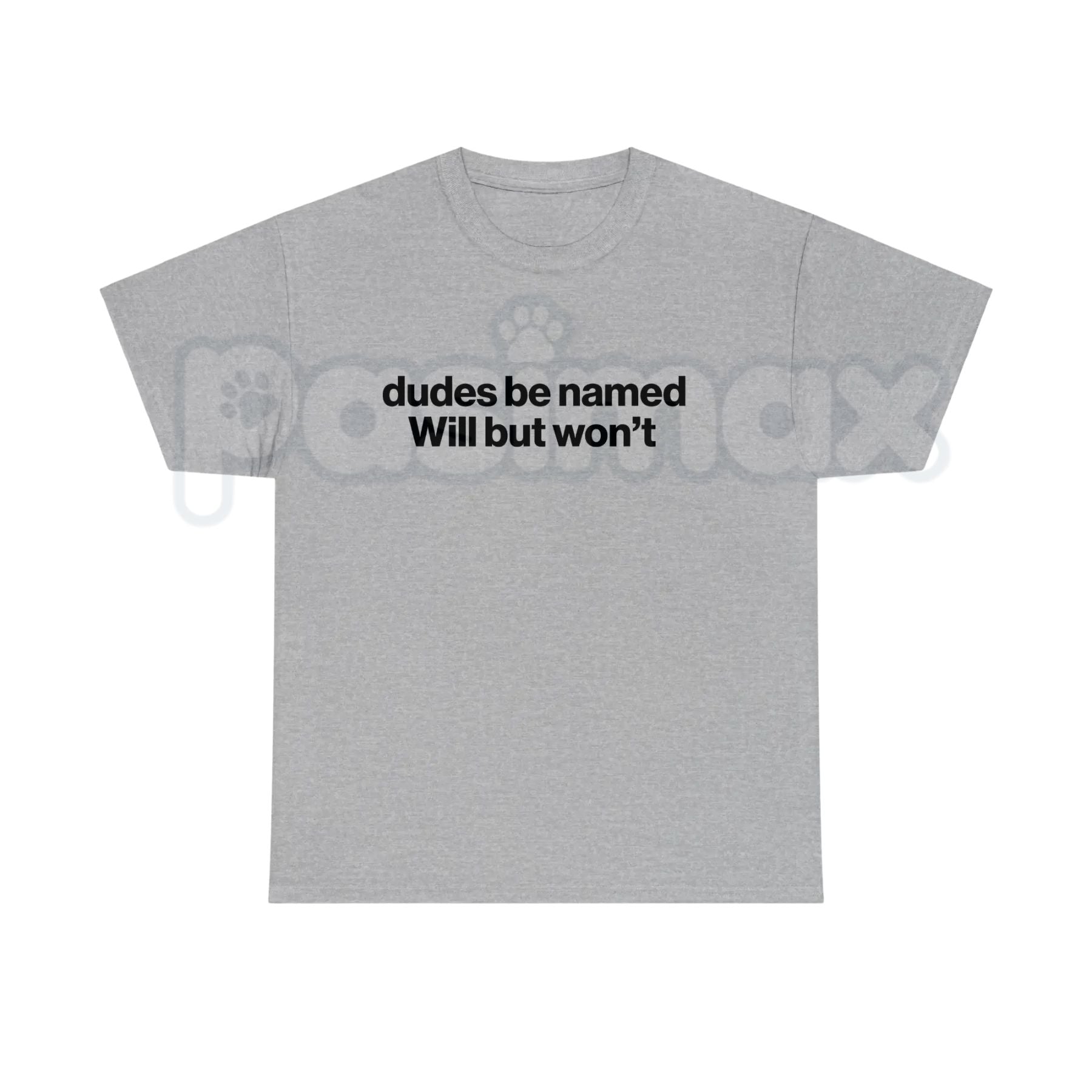 "Dudes Be Named Will But Won't" Funny T-Shirt – Sarcastic Wordplay Graphic Tee, Premium 100% Cotton Unisex Humorous Top, Soft Lived-In Heavyweight Meme Culture Shirt, Made in USA