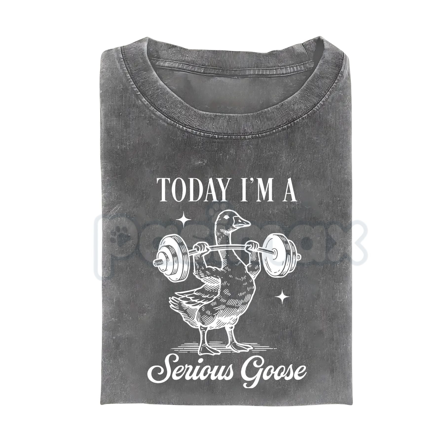 Today I'm a Serious Goose Funny T-Shirt – Men’s Vintage Washed Graphic Tee, Lightweight Sarcastic Animal Streetwear Top