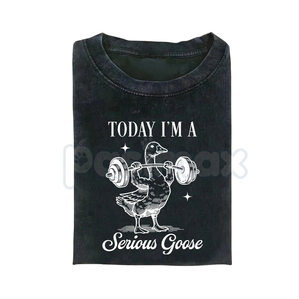 Today I'm a Serious Goose Funny T-Shirt – Men’s Vintage Washed Graphic Tee, Lightweight Sarcastic Animal Streetwear Top