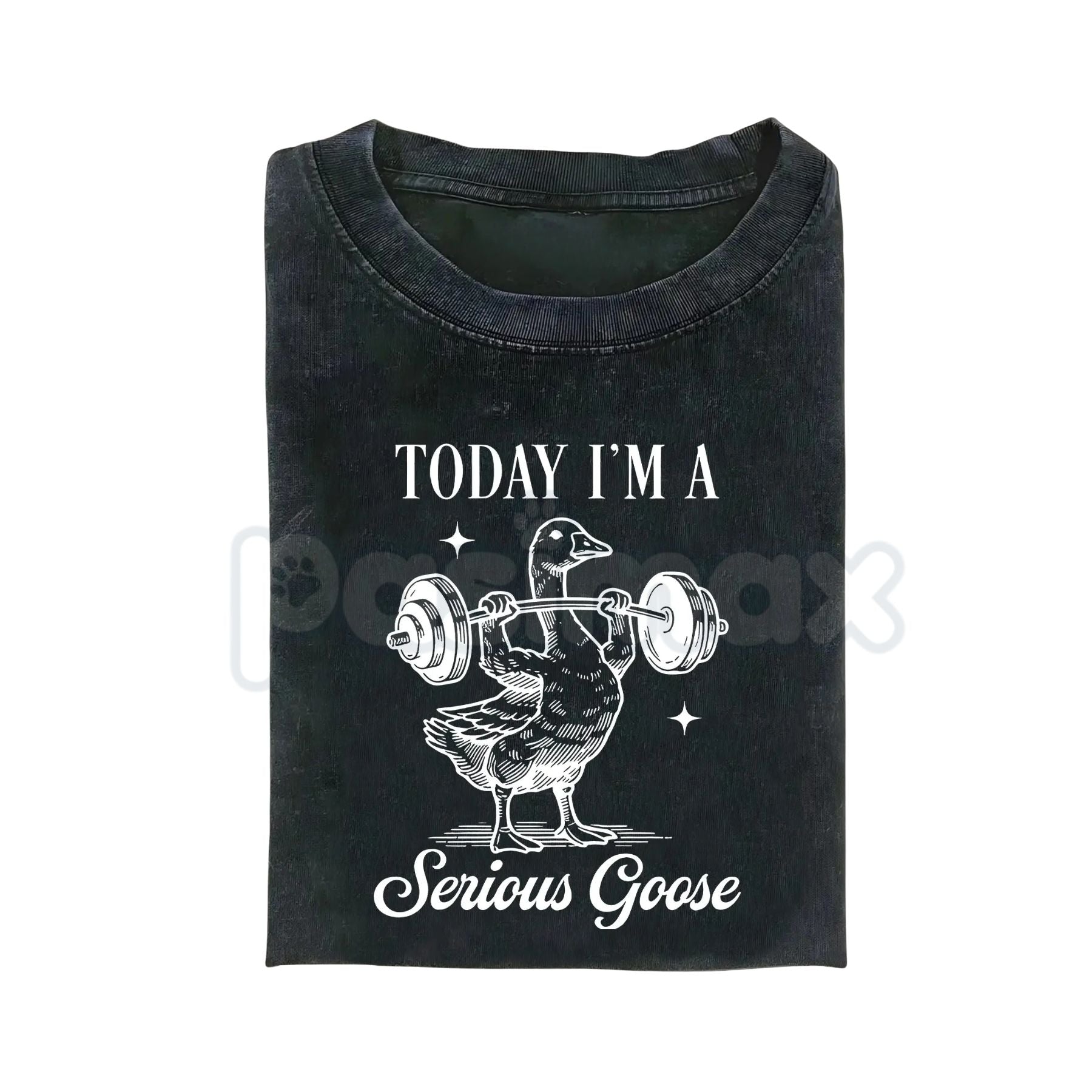 Today I'm a Serious Goose Funny T-Shirt – Men’s Vintage Washed Graphic Tee, Lightweight Sarcastic Animal Streetwear Top