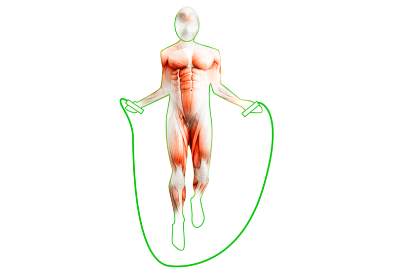 PBLX Weighted Jump Rope