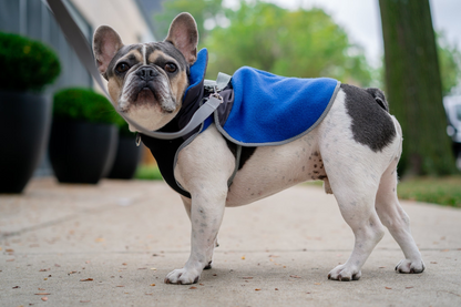 2-in-1 Thermal Dog Fleece Jacket with Integrated Harness - Royal Blue