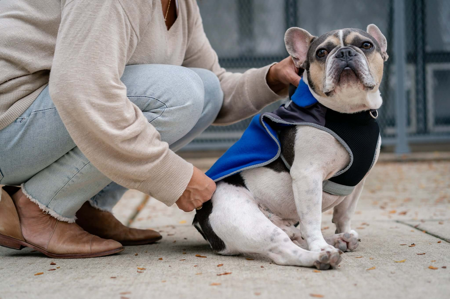 2-in-1 Thermal Dog Fleece Jacket with Integrated Harness - Royal Blue