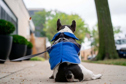 2-in-1 Thermal Dog Fleece Jacket with Integrated Harness - Royal Blue