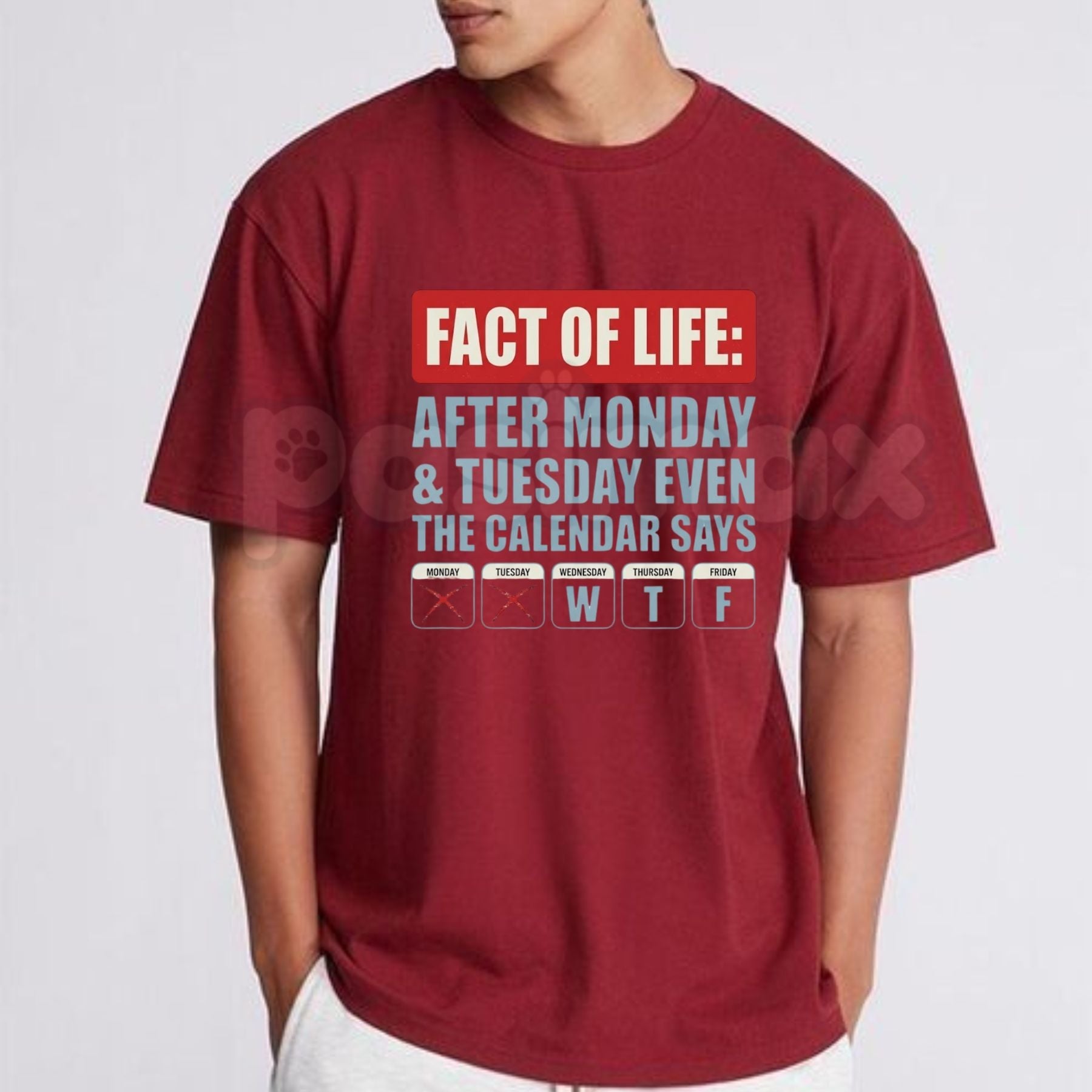 Funny "Fact Of Life WTF Calendar" T-Shirt – Sarcastic Workweek Humorous Graphic Tee