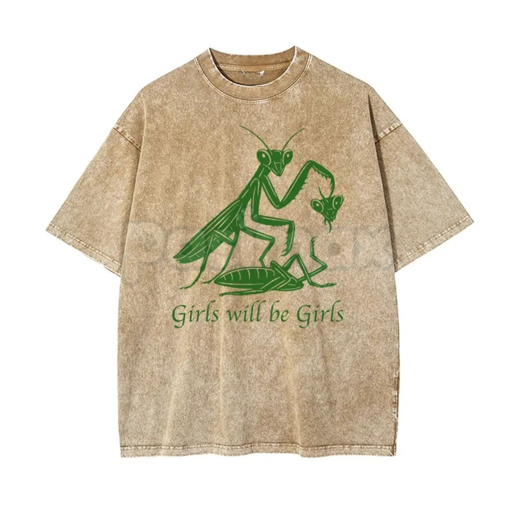 Girls Will Be Girls Oversize Unisex Washed T-Shirt – Trendy Aesthetic Graphic Streetwear Tee