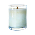 Glisten 2.5oz Soy Candle in Glass