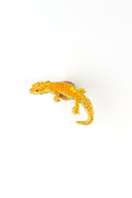 Leopard Gecko Enamel Pin (Eublepharis macularius)