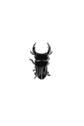Japanese Stag Beetle Enamel Pin (Dorcus hopei binodulosus)