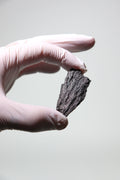 Black Kyanite Fan