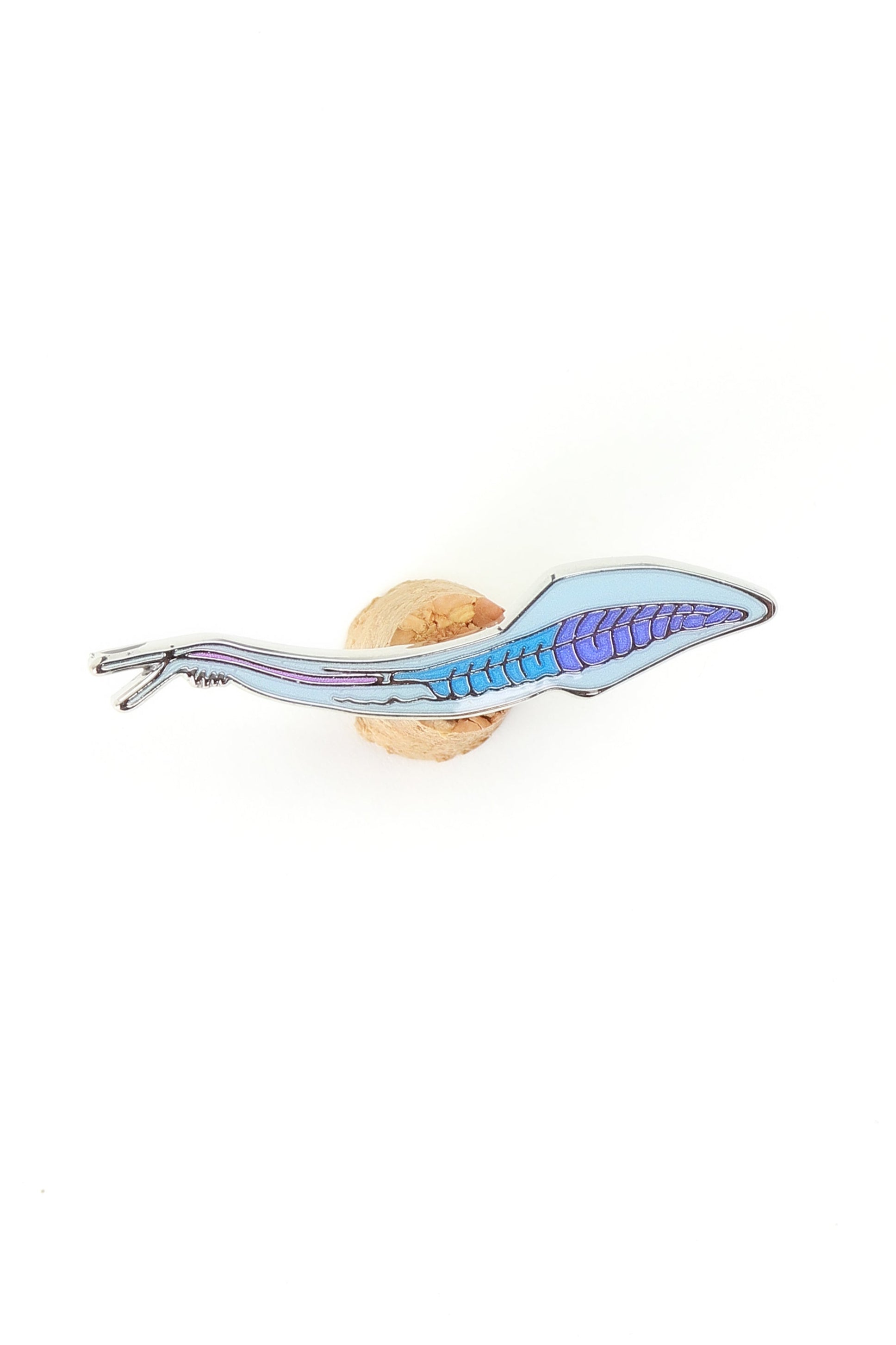 Pikaia Enamel Pin (Pikaia gracilens)