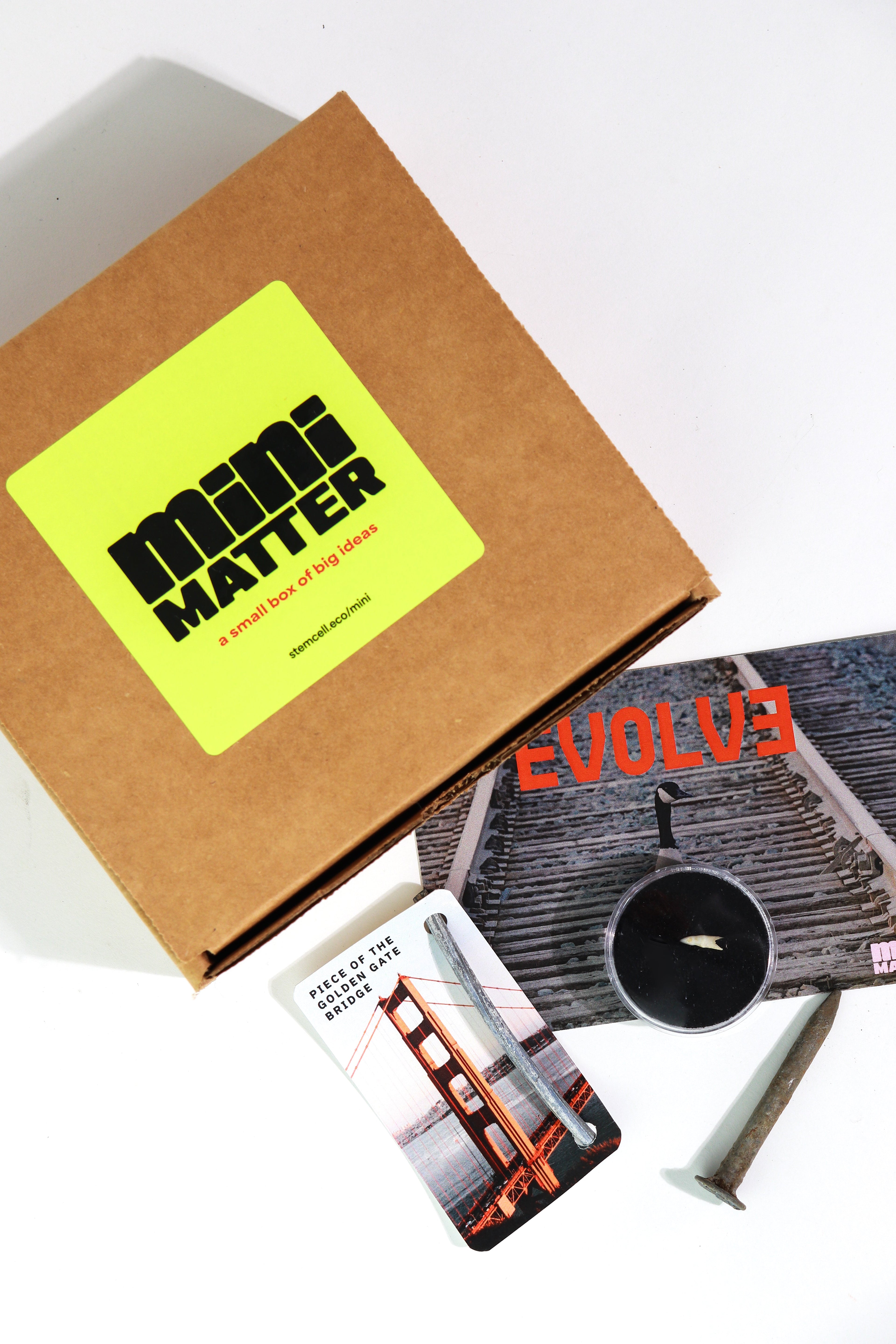 Mini Matter: Evolve