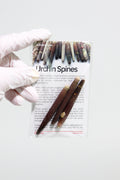 Sea Urchin Spines - 3-pack