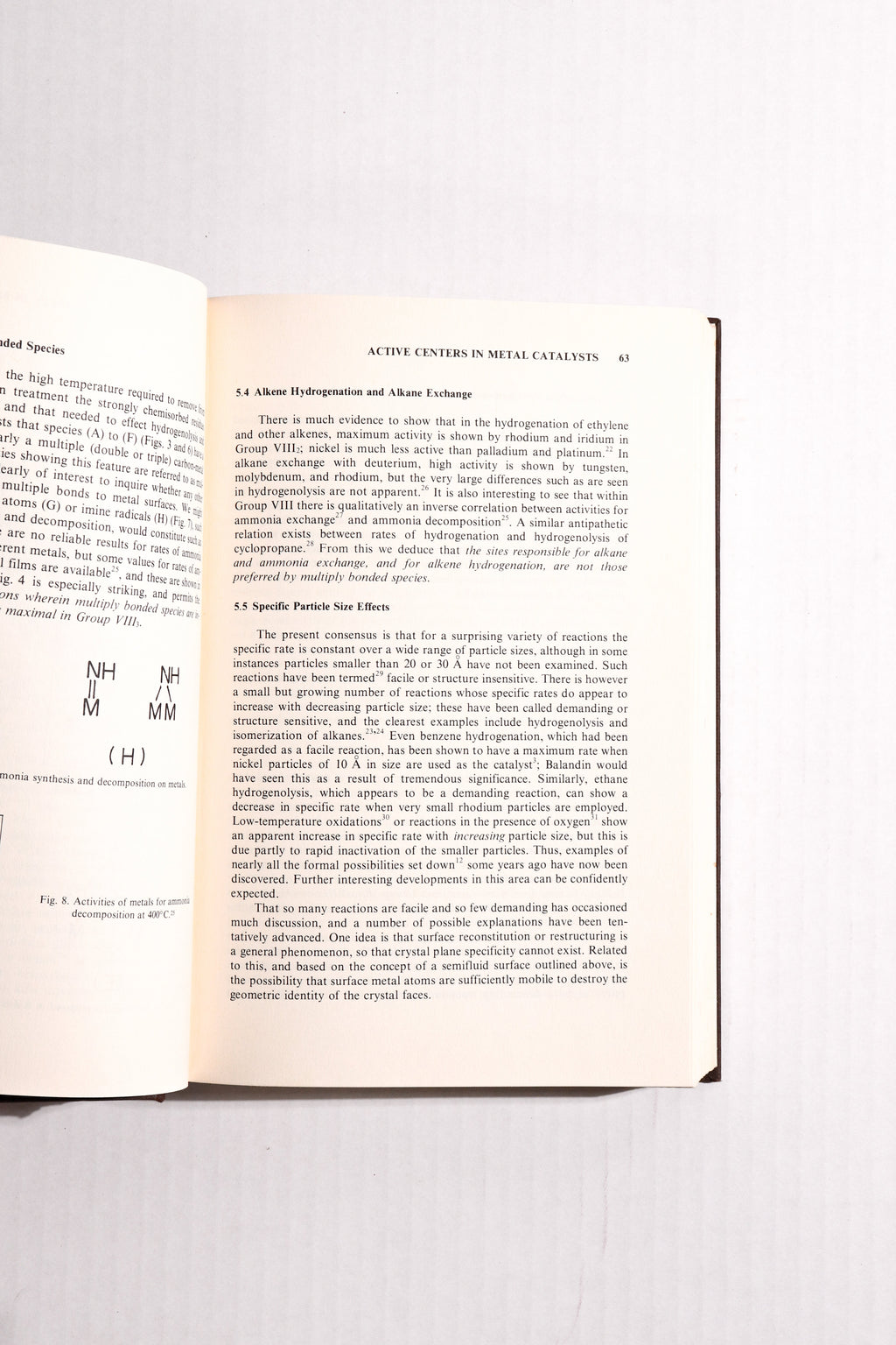 The Physical Basis for Heterogeneous Catalysis