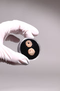 Stone Age Beads from the Sahara Desert