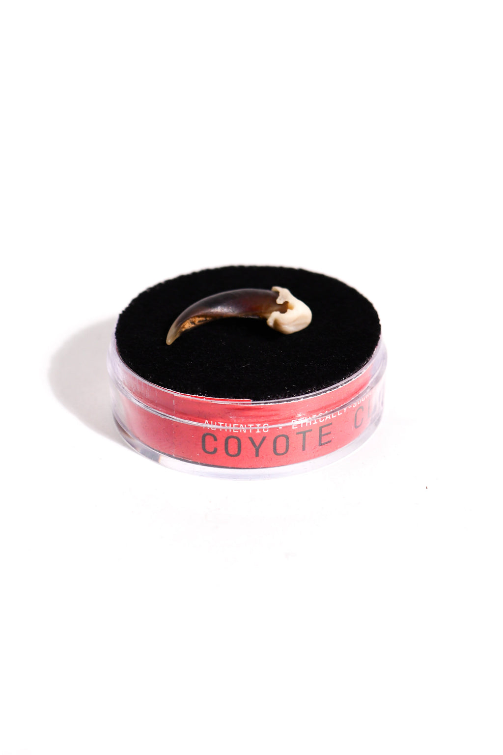 Coyote Claw