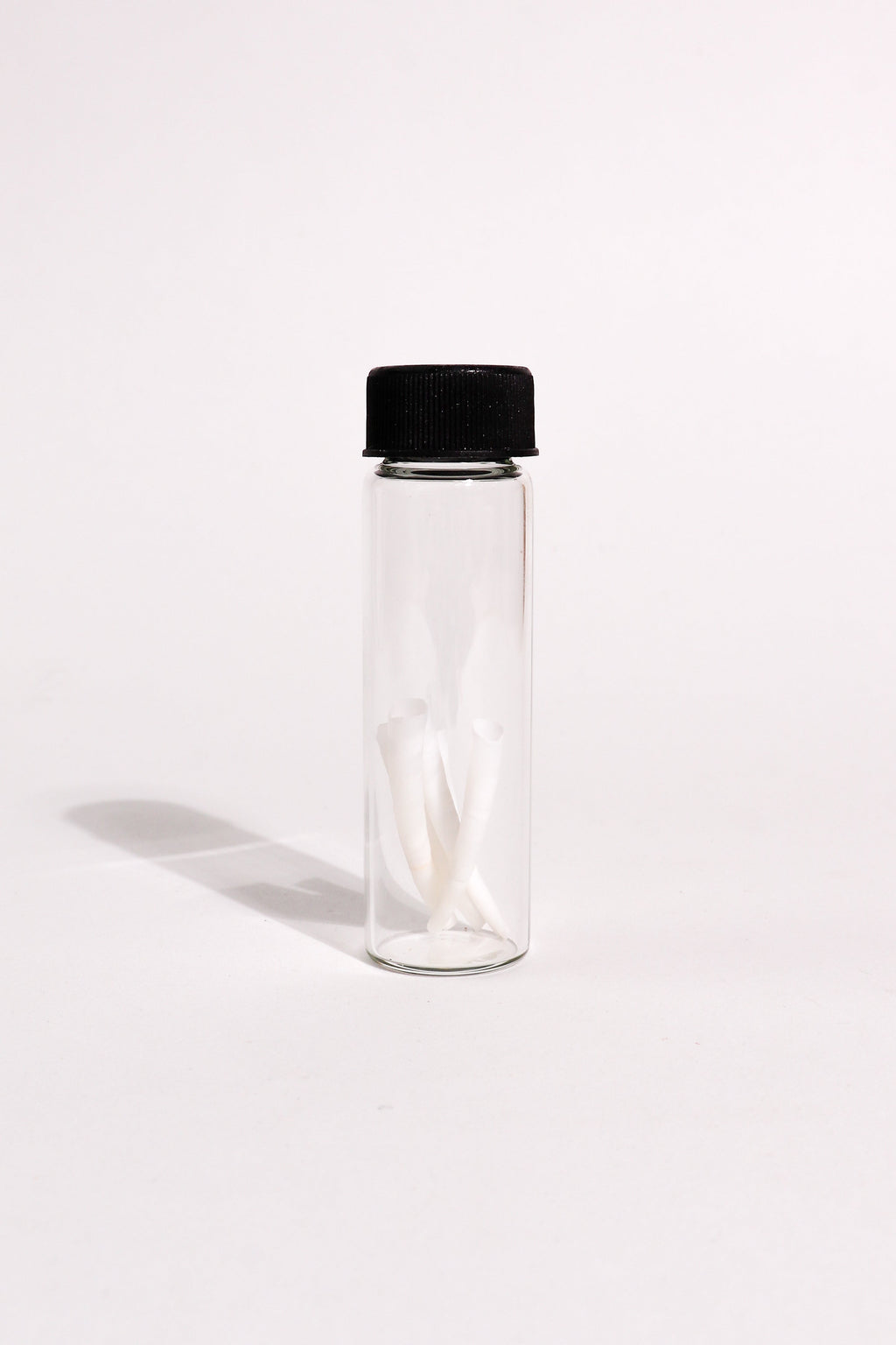 Tusk Shells (Dentalium Mollusk Shells)
