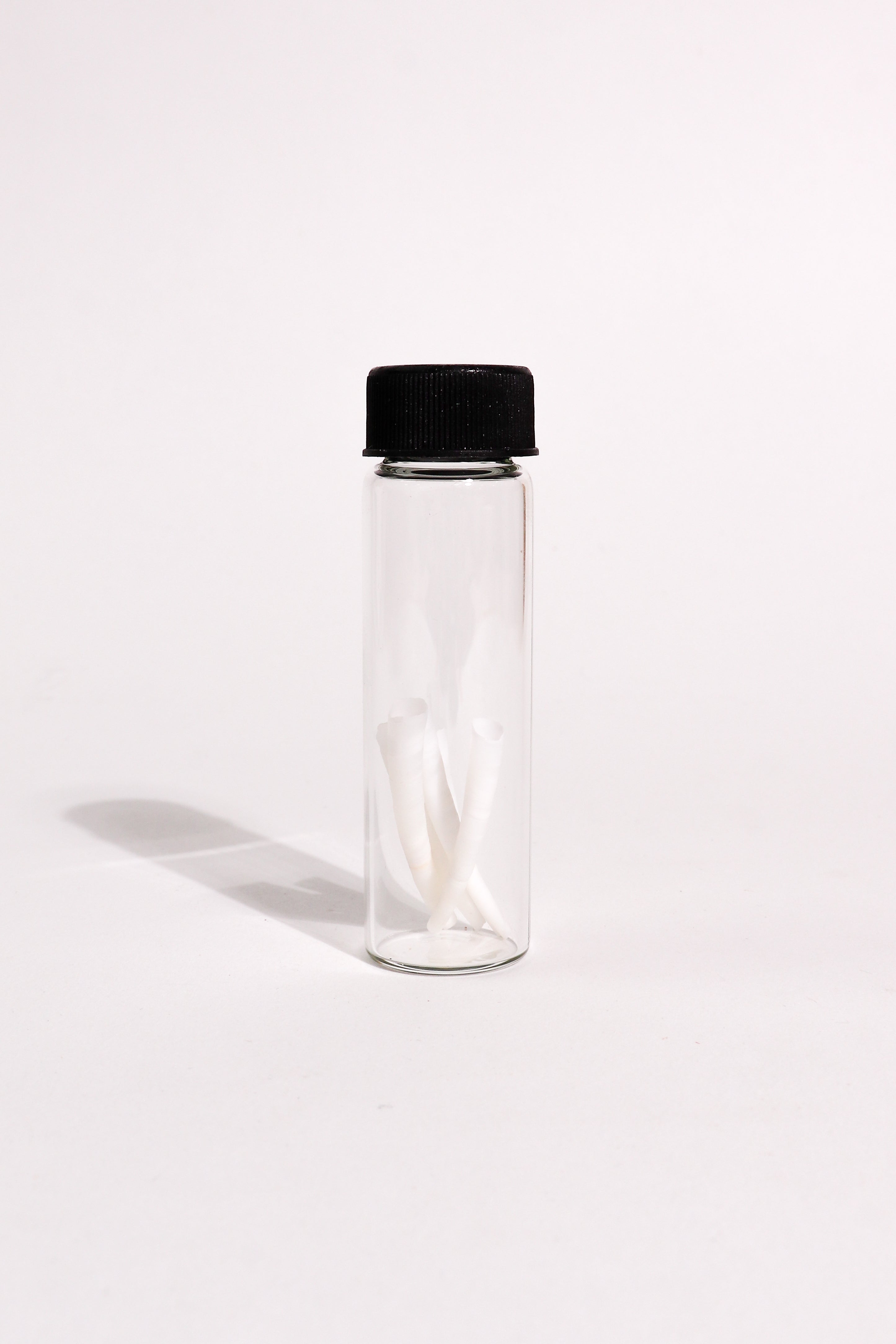 Tusk Shells (Dentalium Mollusk Shells)