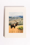 America’s Hidden Wilderness: Lands of Seclusion — National Geographic Society, First Edition (1988)