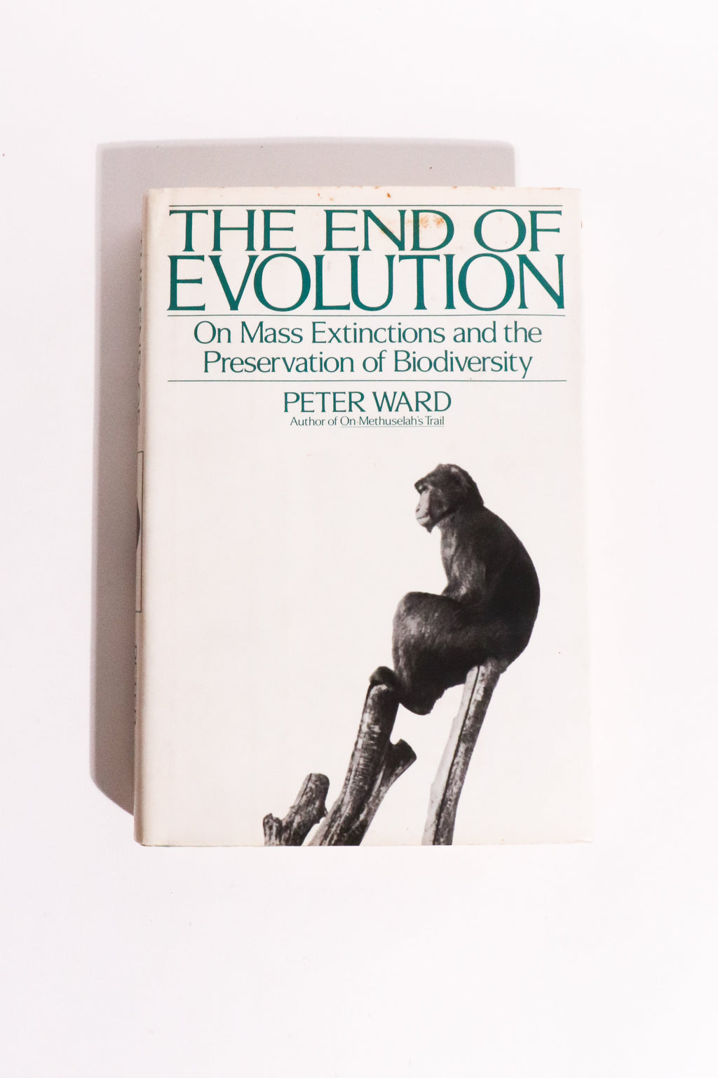 The End of Evolution: On Mass Extinctions and the Preservation of Biodiversity — Peter Ward, First Edition, First Printing (1994)