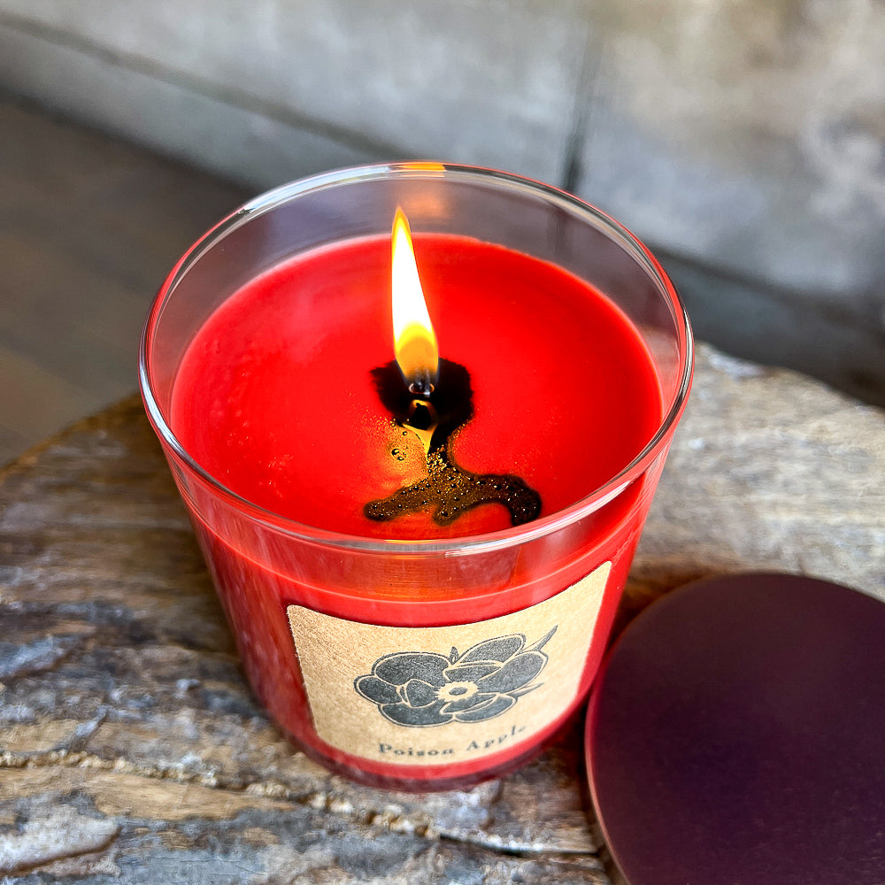Poison Apple 10oz Soy Candle