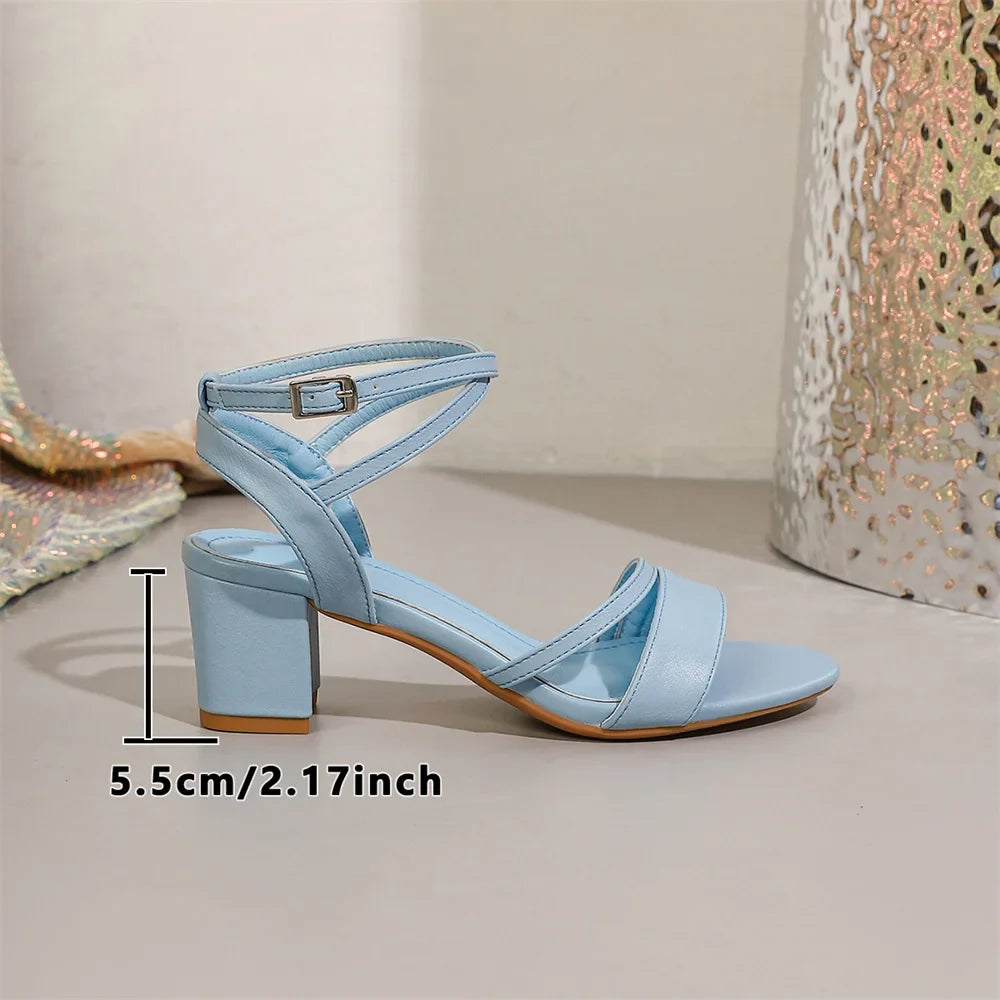 Big Size 42 Classic Blue Ankle Strap Sandals for Women Elegant Summer Block Heels Office Lady Daily Wear Shoes