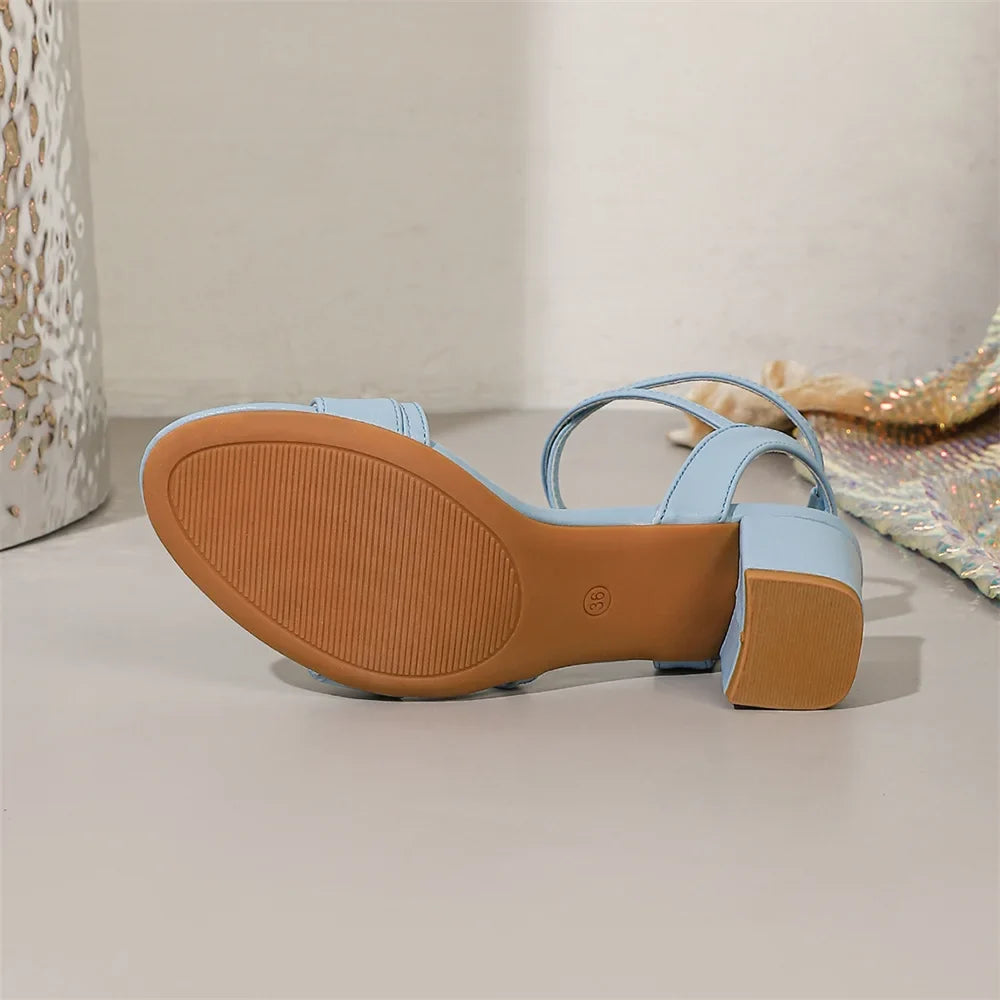 Big Size 42 Classic Blue Ankle Strap Sandals for Women Elegant Summer Block Heels Office Lady Daily Wear Shoes