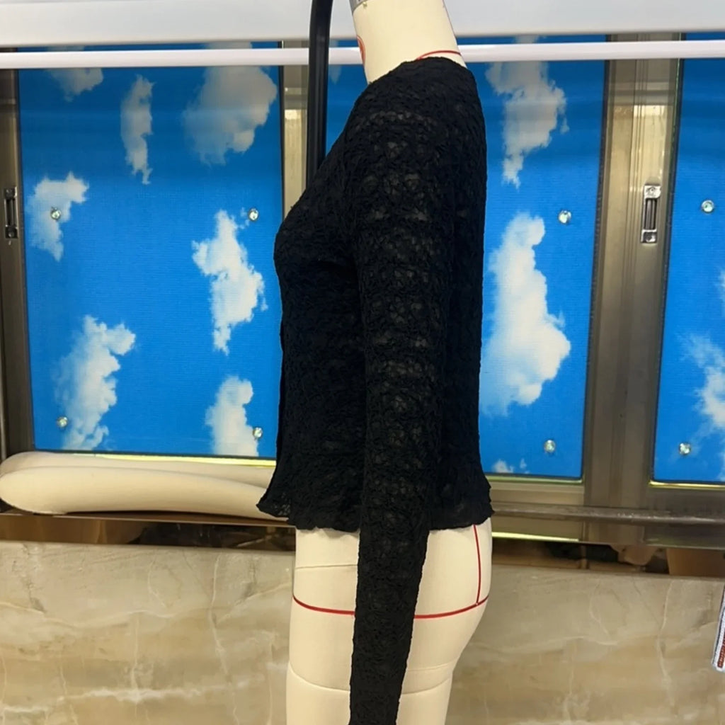 Solid Color Long Sleeve Going Out Lace Top Women Sheer Tops Elegant Round Neck Slim Fit White Textured Button Up T-shirts