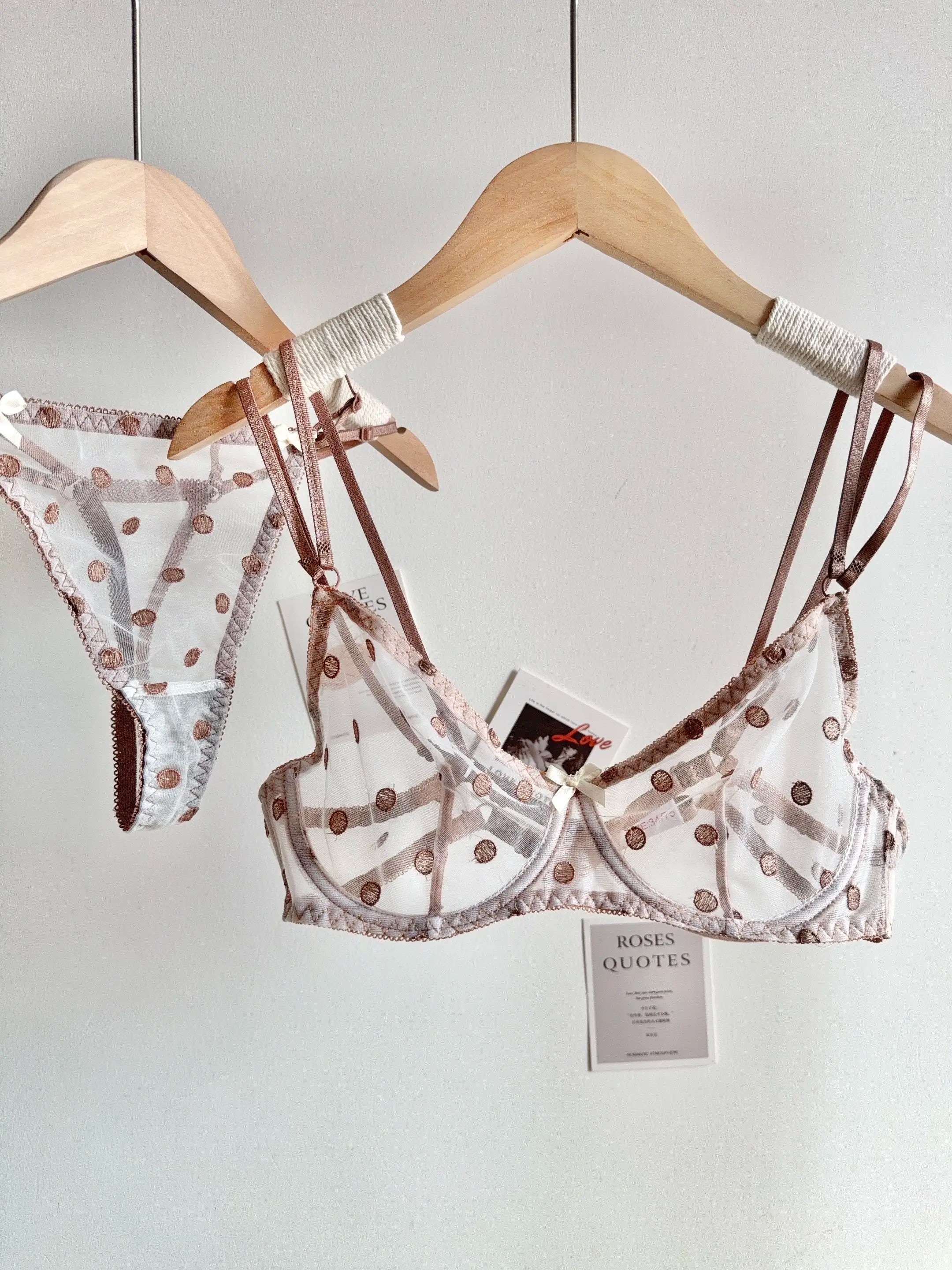 Affordable French Lace Lingerie Set | Sexy Mesh Push Up Bra for Big Bust, Ultra Thin Slimming Anti Sag Women's Bra Set MOYISU AB