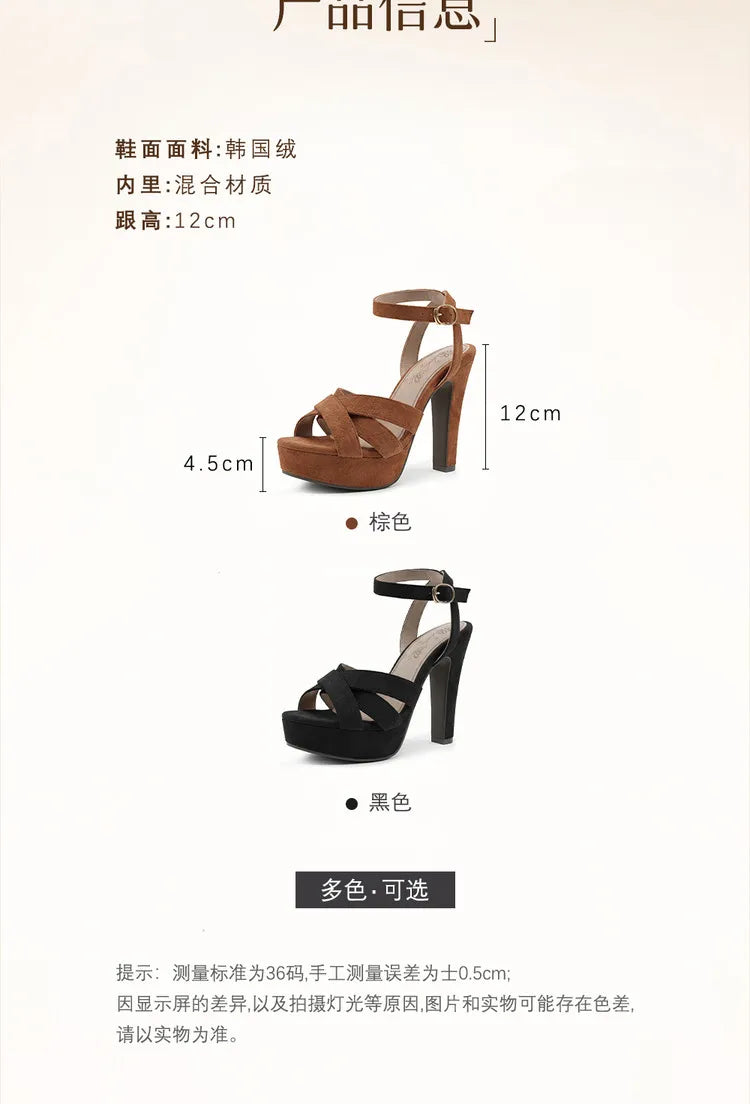 2026 New Block High Heels Sandals Women Peep Toe Ankle Strap Buckle Wedding Party Dress Office Platform Sandals