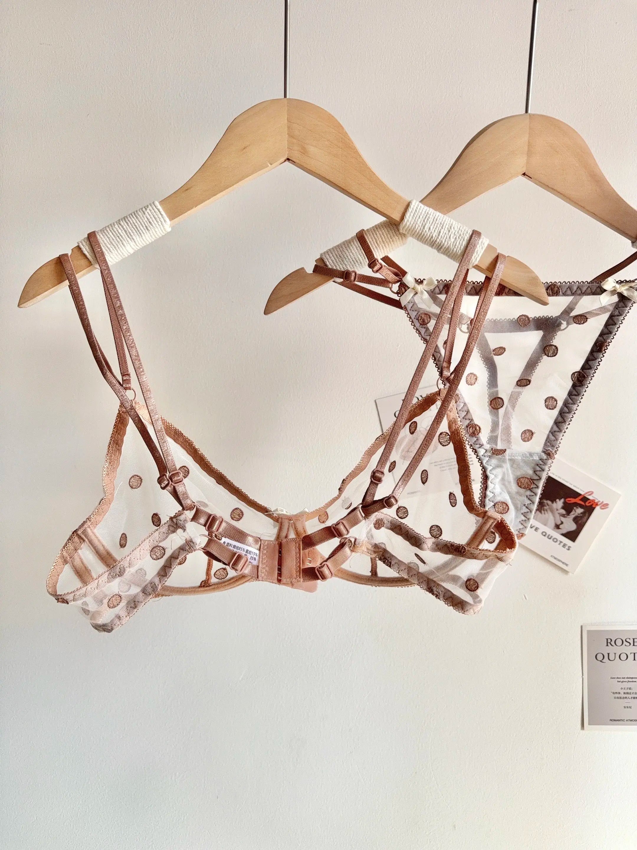 Affordable French Lace Lingerie Set | Sexy Mesh Push Up Bra for Big Bust, Ultra Thin Slimming Anti Sag Women's Bra Set MOYISU AB