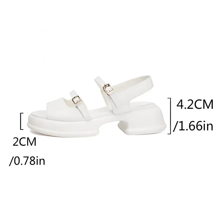 Women's Sandals 2026 New Summer Platform Fashion High Heel Sandals Outdoor Beach Shoes Square Toe Buckle Strap Women’s Shoes