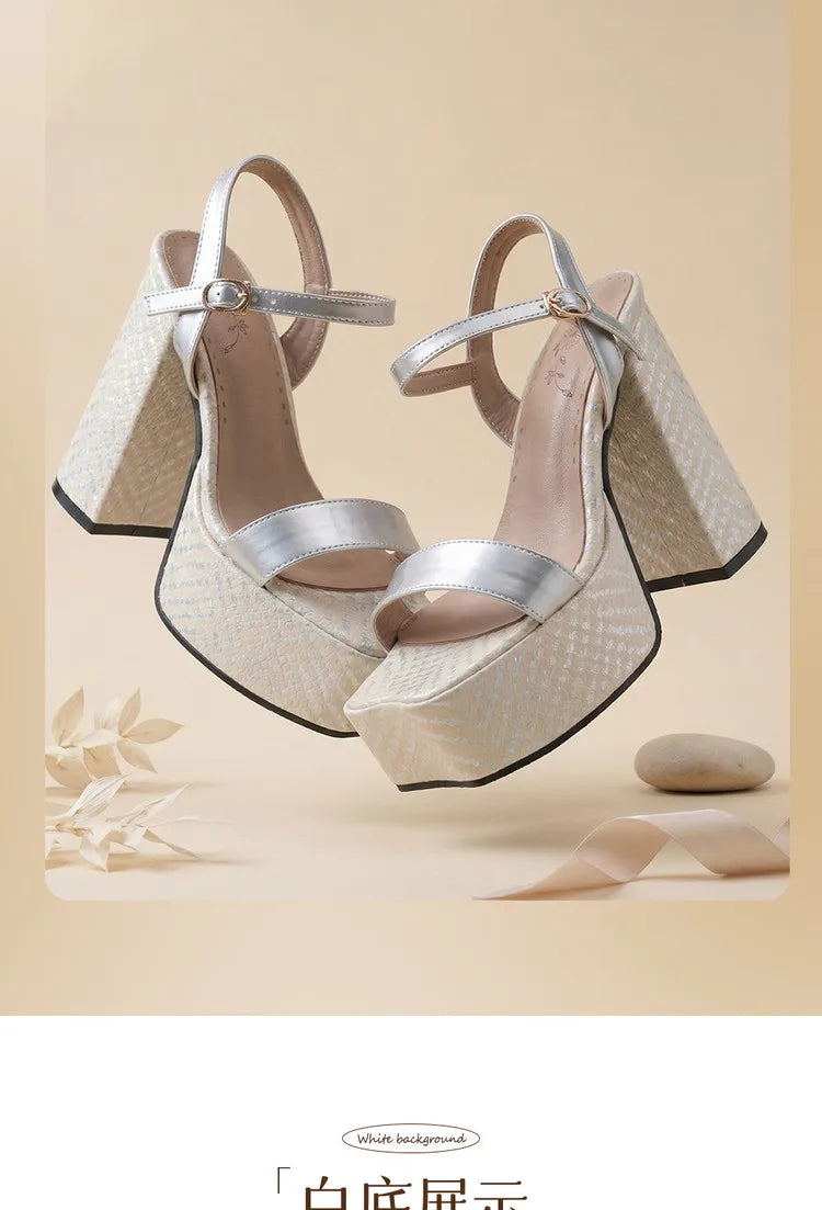 Silver Women Sandals Square Toe 12.5cm High Heel 4.5cm Platform Buckle Strap Large Size 43 44 45 46 Sexy Dating Shoes