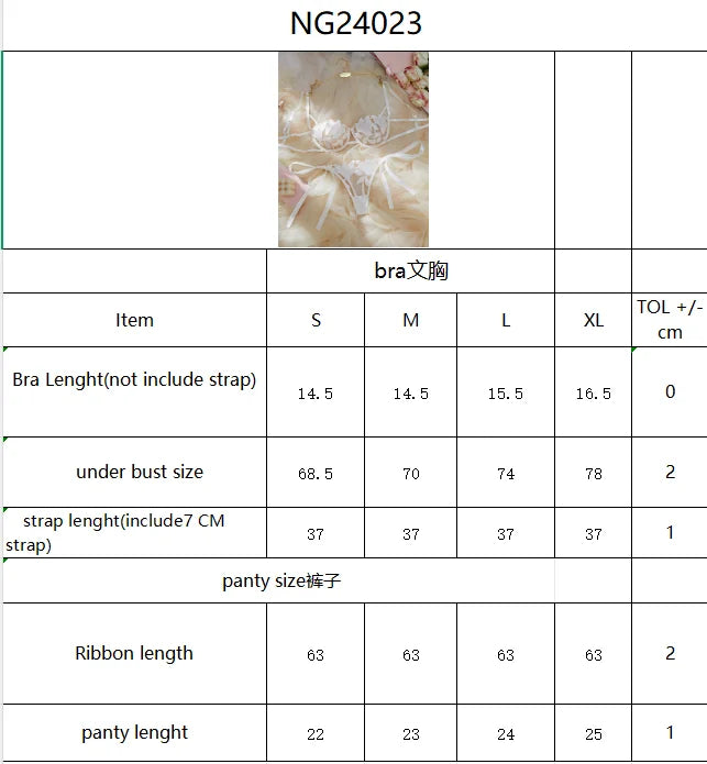 Ladies Floral Lace Thin Briefs Romantic Sexy Set with Belted Pants Elegant Shiny Underwear